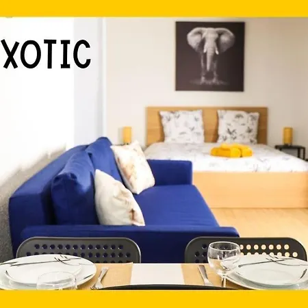 L'exotic - 33 M2 Avec Vue *